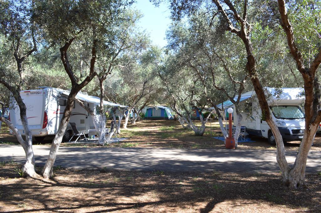 Camping Chania 2*